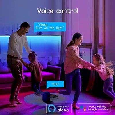 indoor led strip lights Smart Wifi RGB LED Strip Lights Blasting 2m RF Control