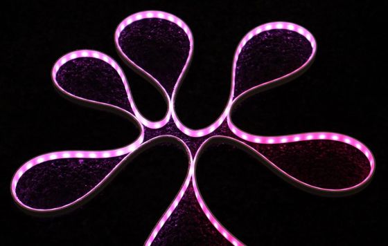25000H DIY LED Neon Light Body Smart Neon Flex Rope Light